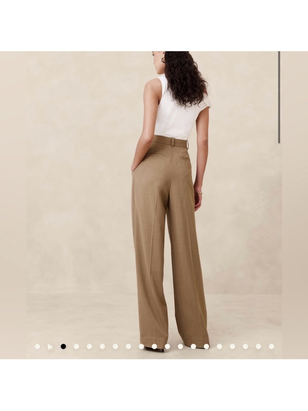 Banana Republic Siena High-Waist Wide-Leg Pleated Pants in Camel - Picture 3 of 4